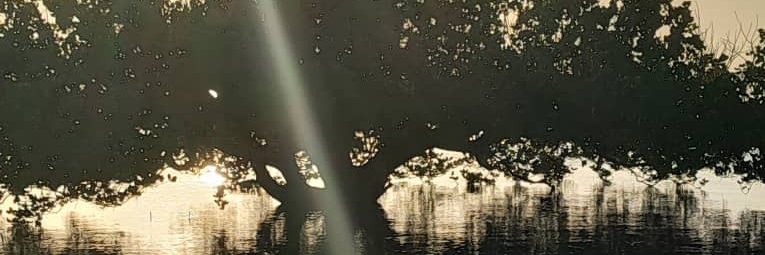 Stuart Parker, blancmange impersonator & cannibal banner