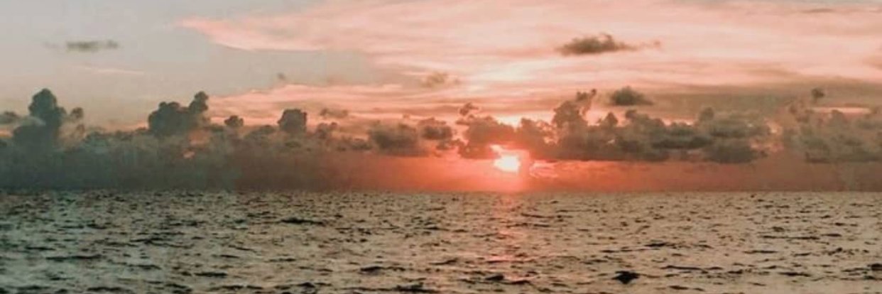 Besteozatess's profile banner image