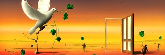 seenr1957's profile banner image