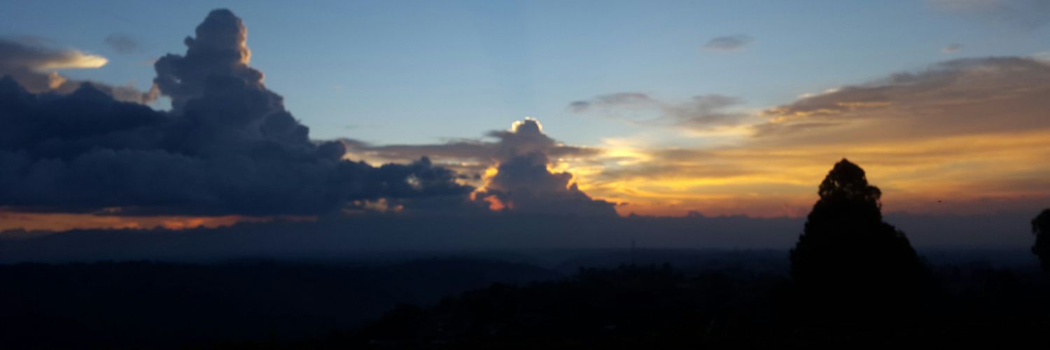 panabarca's profile banner image