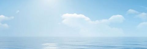 👒Wed bloom💹🍒 banner