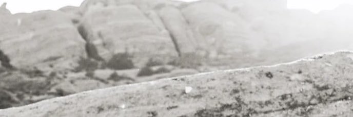 javachippe's profile banner image