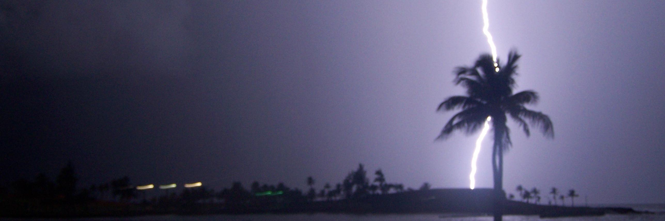 PAHornberger's profile banner image