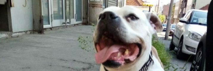 Gladijator: Istina na Delu. banner