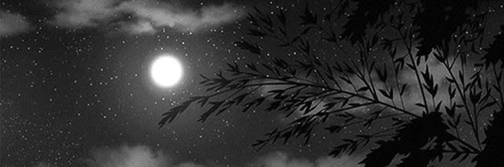 guiso0fr's profile banner image