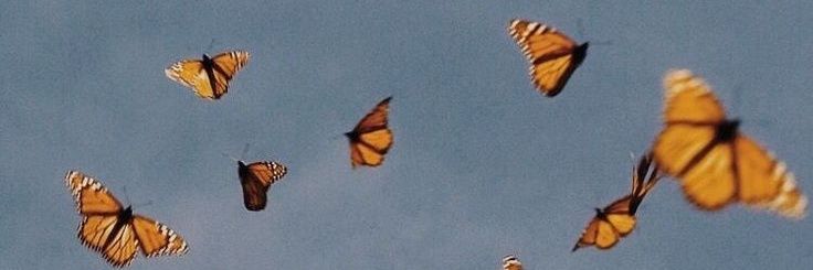 Elizabeth Simbron banner