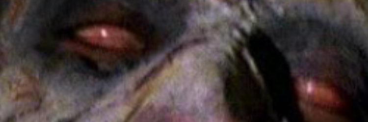 🎌 banner