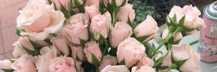 Jasmine Hayes (Parody) banner