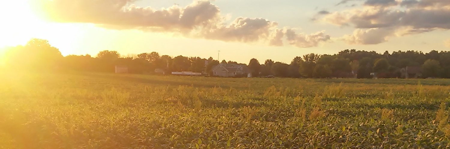 DavisGregory677's profile banner image