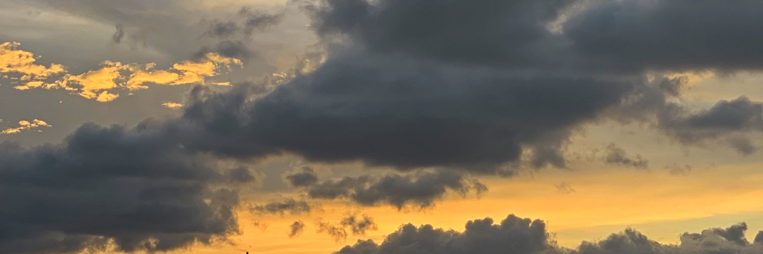 Maru_Leon_'s profile banner image