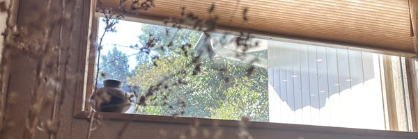 robresnick Profile Banner