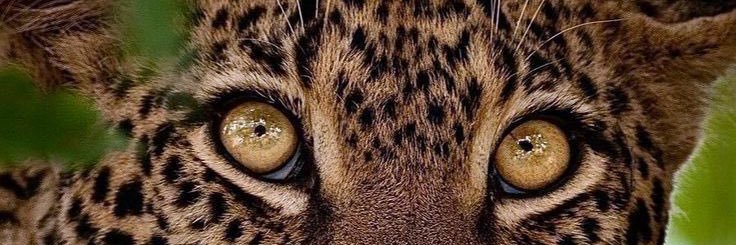 FURACÃO 🌪 banner