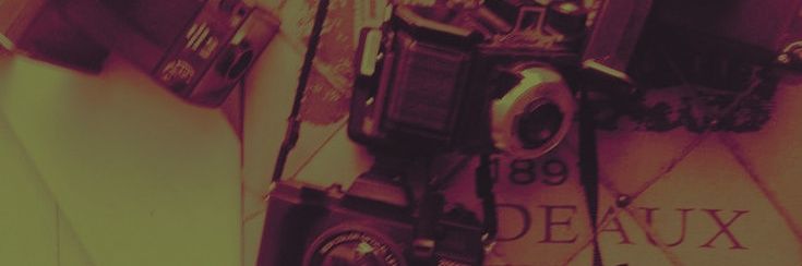 ᅟᅟᅟ𝒄𝒂𝒔𝒖𝒂𝒍𝒍𝒚 𝒄𝒓𝒖𝒆𝒍, 𝒄𝒂𝒓𝒍𝒔𝒐𝒏. banner