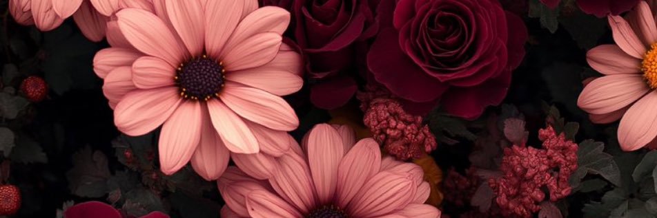 bsogorg_'s profile banner image