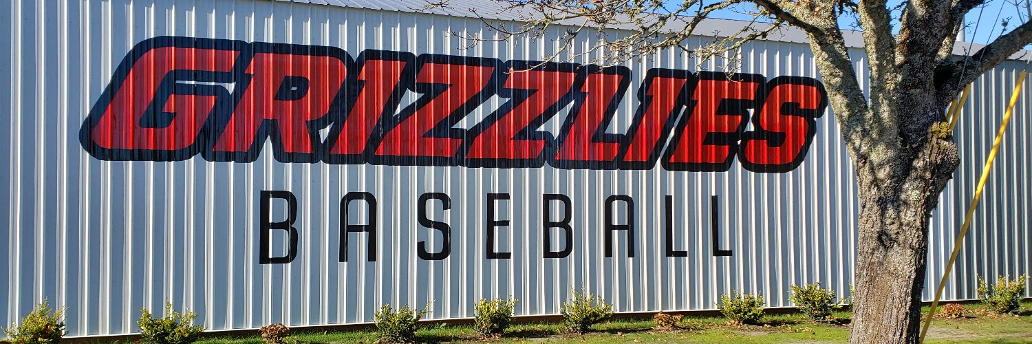 McMinnville Baseball banner