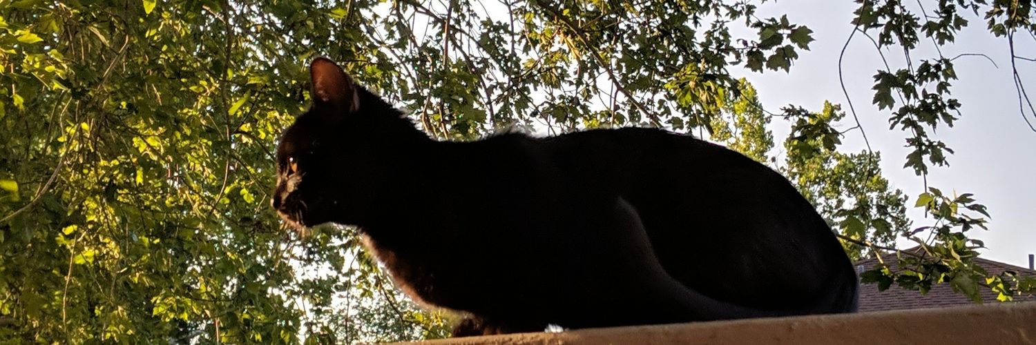 speavs's profile banner image