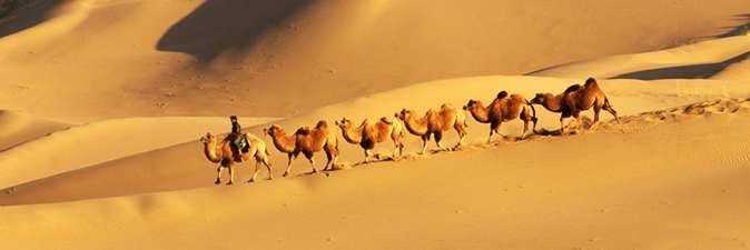 bataamunkh's profile banner image