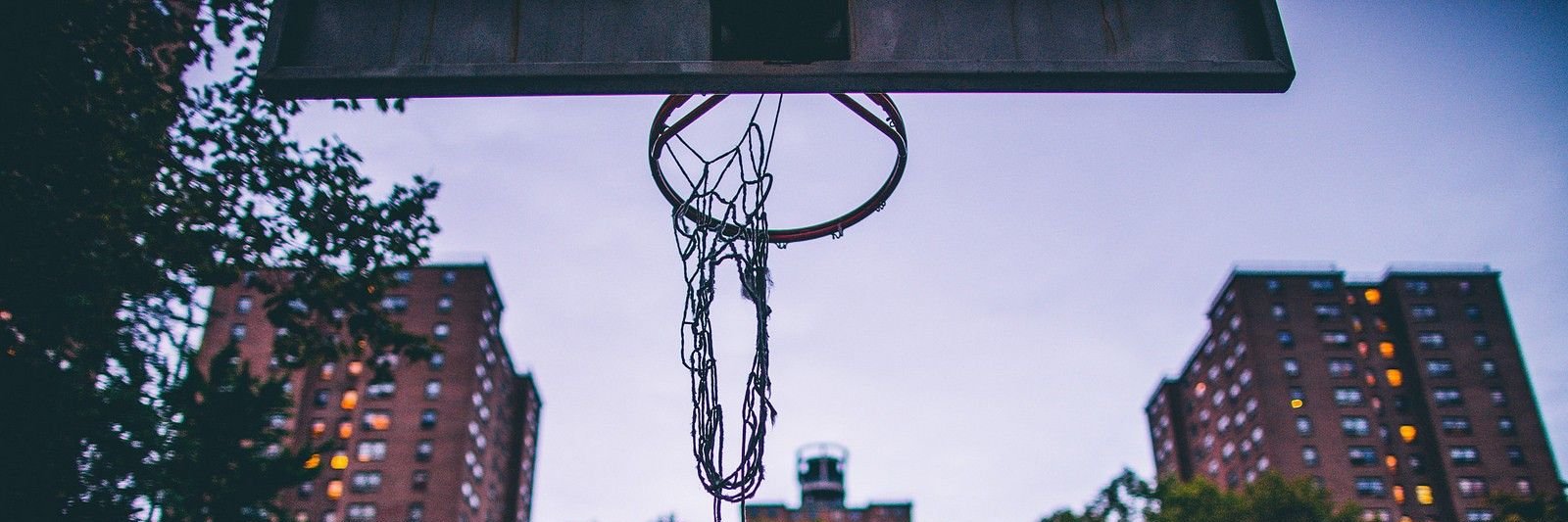 NFTbettor's profile banner image