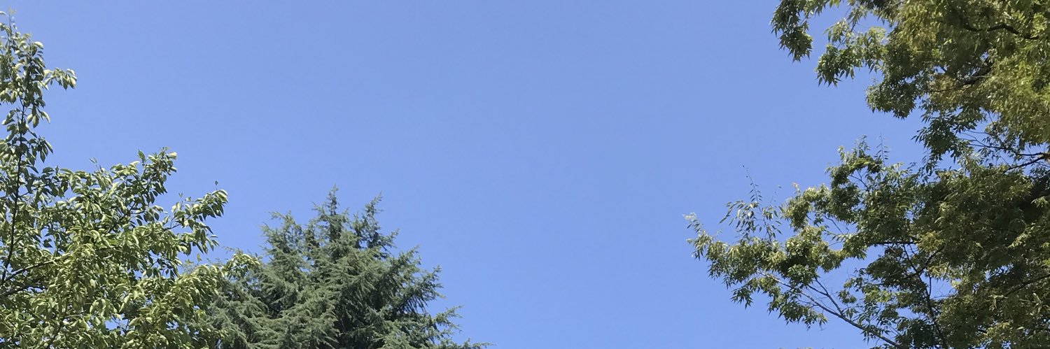 나오짱˙˚ʚɞ˚˙ banner