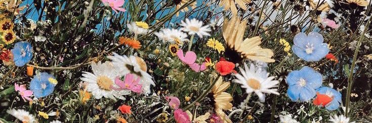 Zoeee_11_'s profile banner image