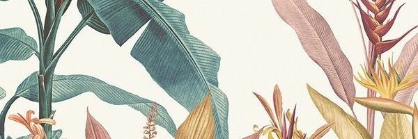 Danila Cresto banner