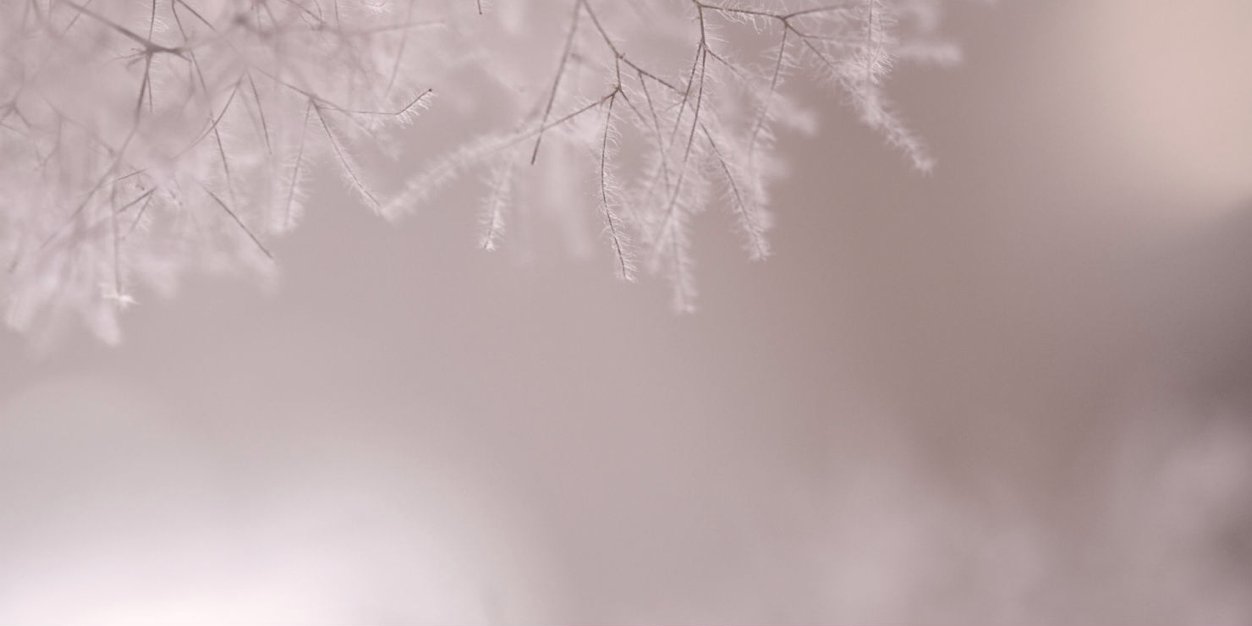 SPO2150's profile banner image