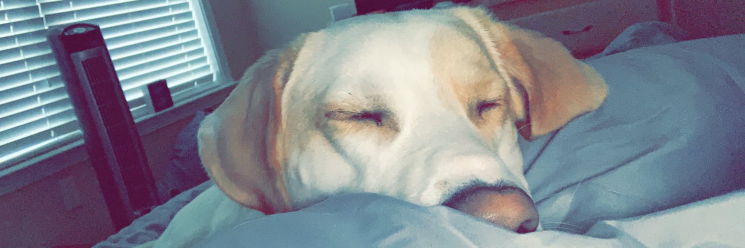 bejags_'s profile banner image