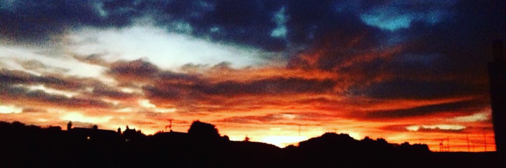 cait irvine (taylor’s version) banner