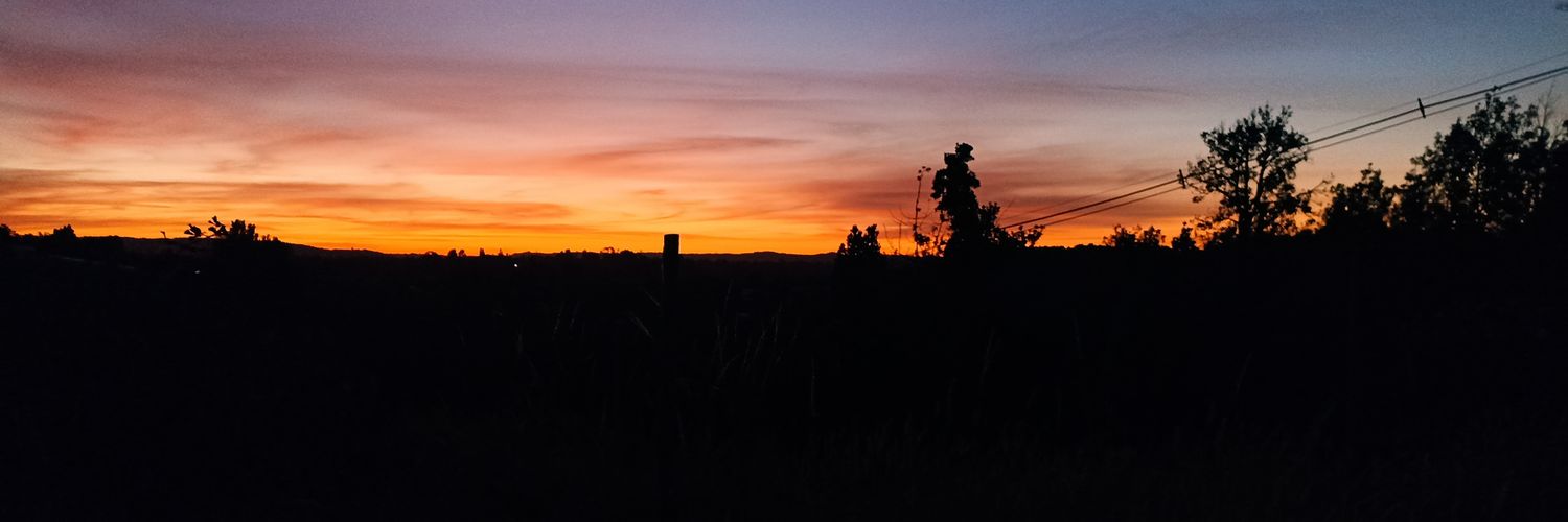 snsntd0's profile banner image