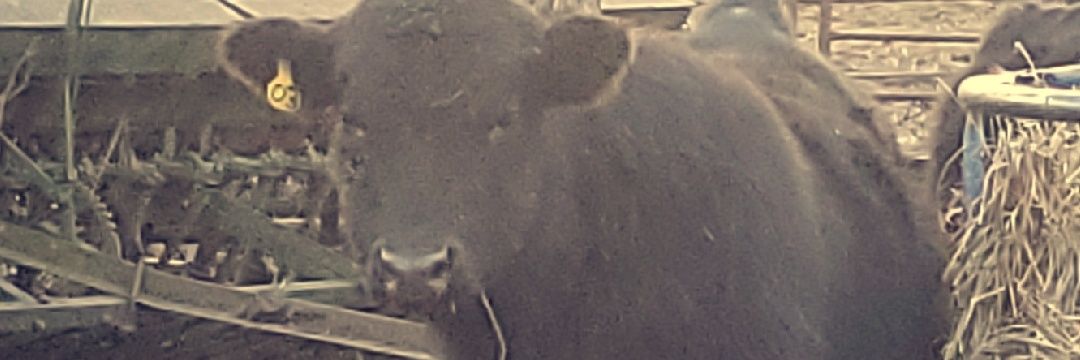 mason_567's profile banner image