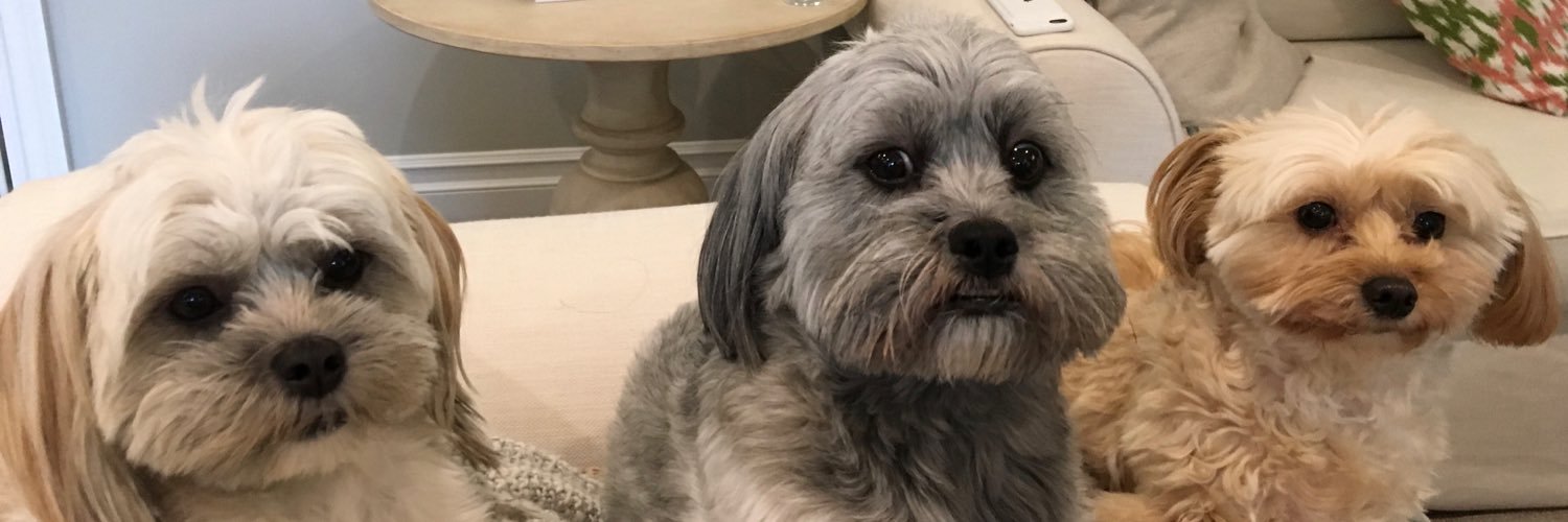 dbia banner