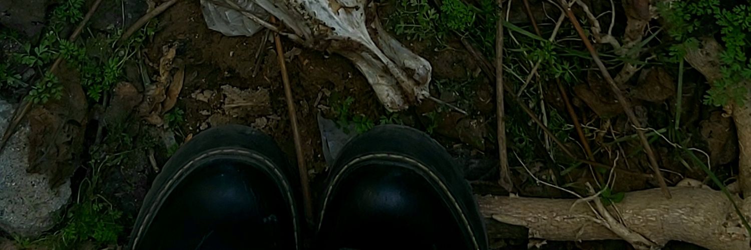 antimatt4r's profile banner image