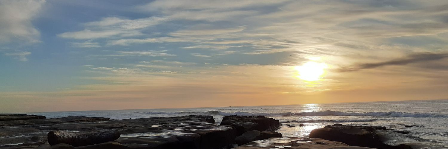 carrillo_wil's profile banner image