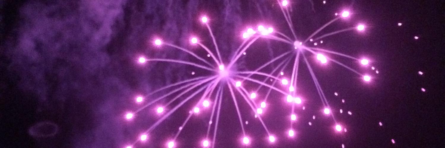 AnnistonPARD's profile banner image