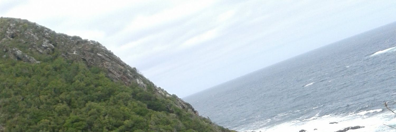 lytangel's profile banner image