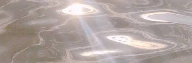 🎞 banner