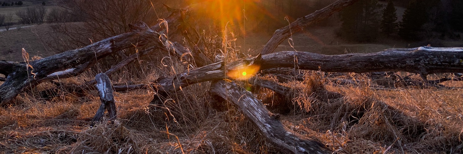 amydubs22's profile banner image