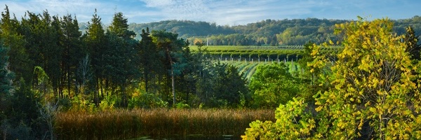 Dobbin Estate banner