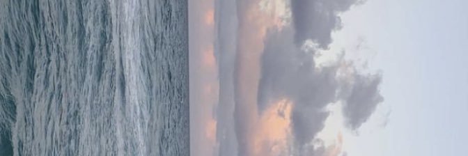 María Montes banner