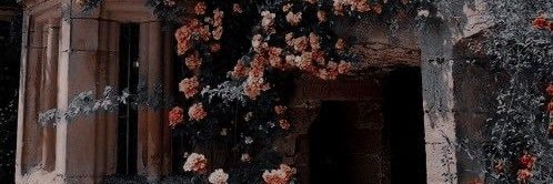 livingondecost's profile banner image