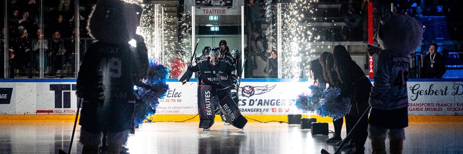 Les Ducs d'Angers banner
