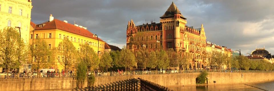 dvillote's profile banner image
