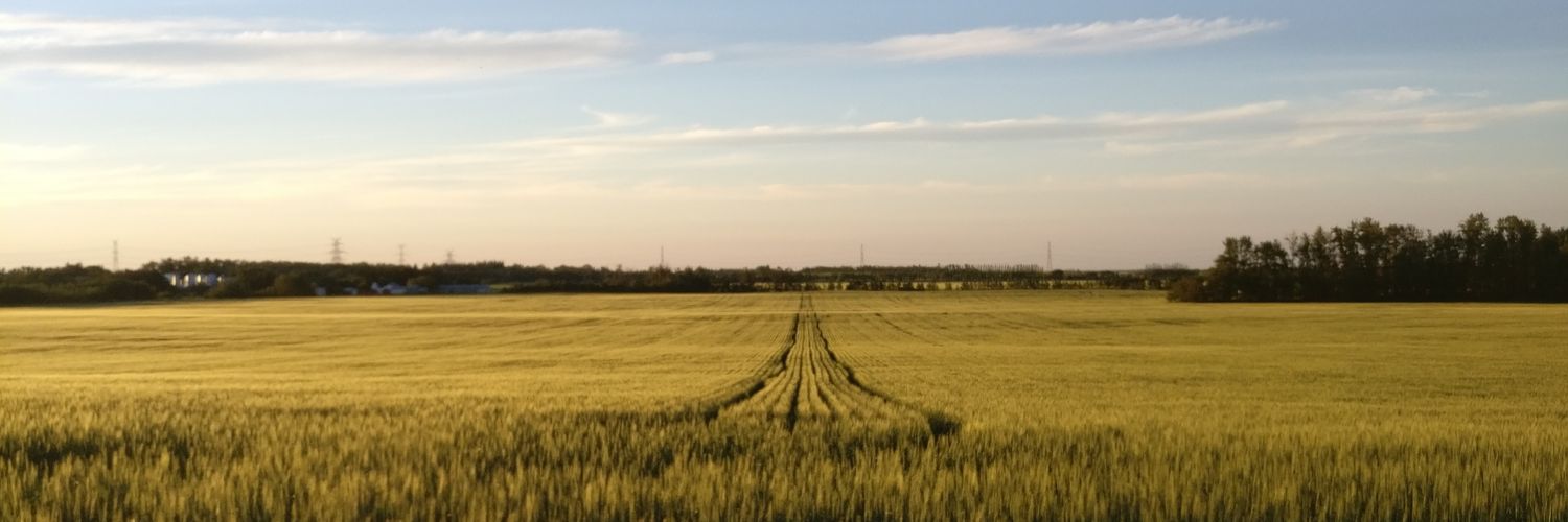 Daniel Stefner banner