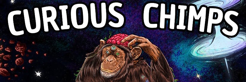 CuriousChimps's profile banner image