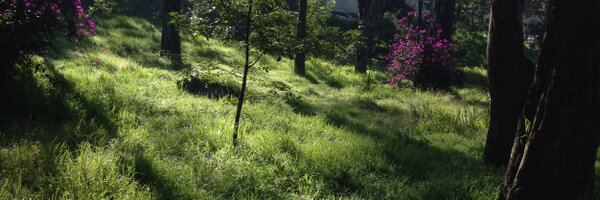 cclomaschapulte Profile Banner