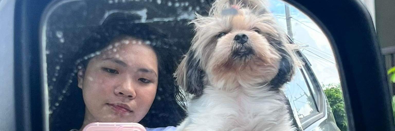 sheislazydizzy's profile banner image