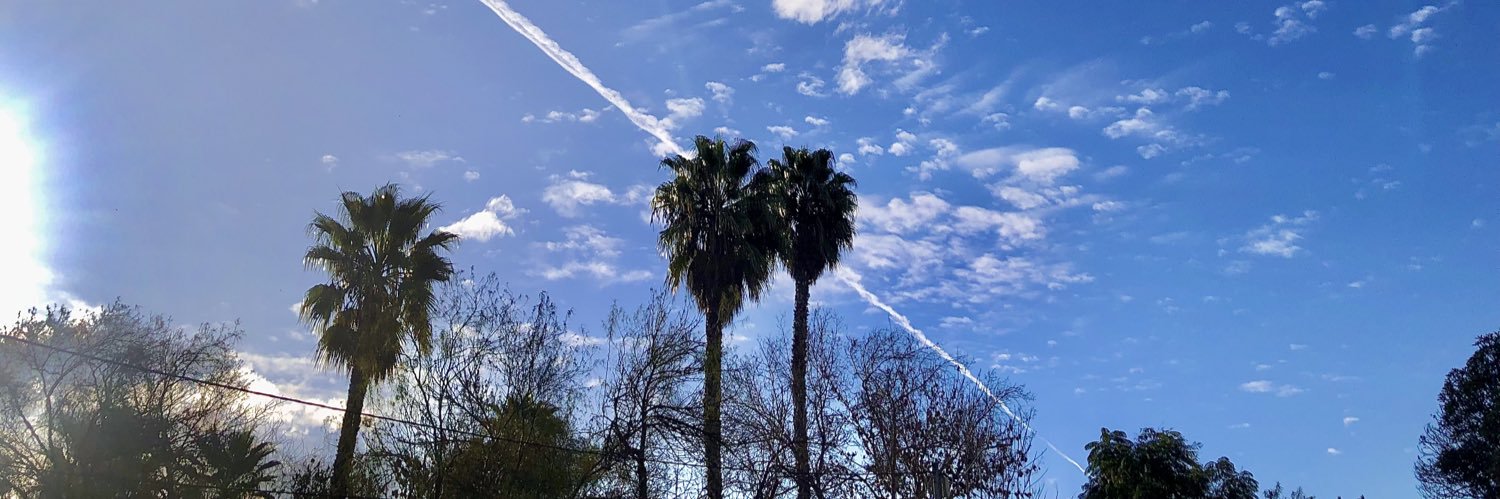 𝙰𝚖é𝚛𝚒𝚌𝚘 𝚜𝚘𝚝𝚒𝚕𝚕𝚎𝚝 banner