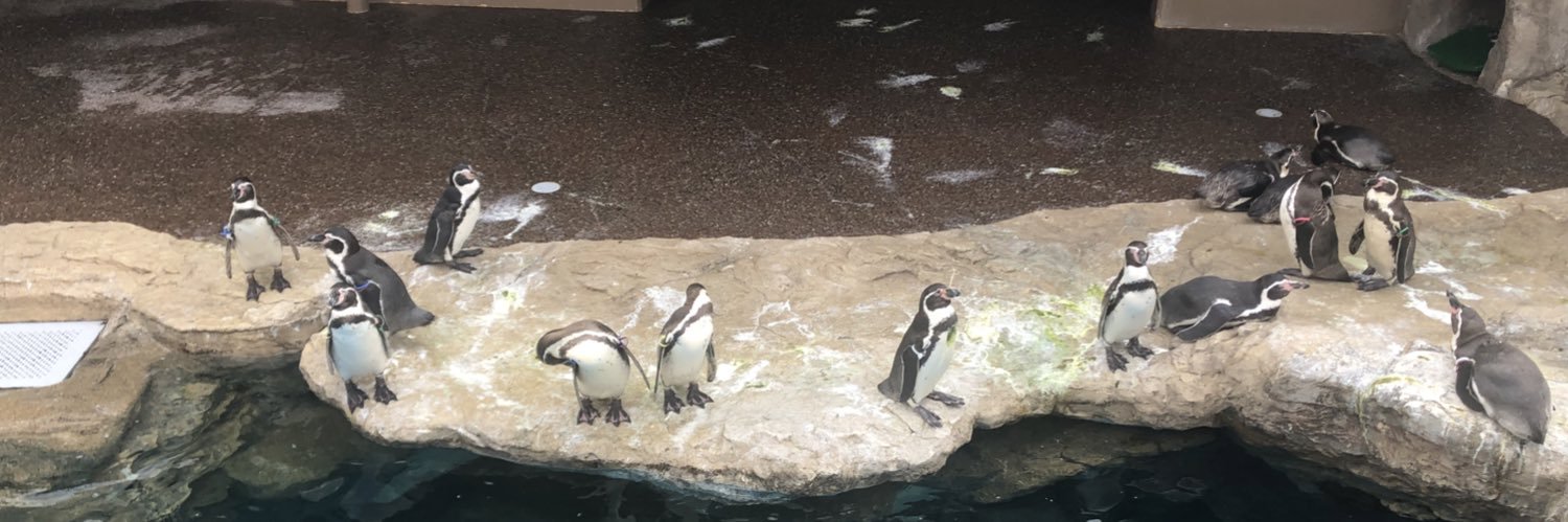 みずたまり 🇯🇵 ( MIZUTA Mari ) banner