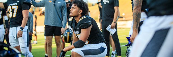 LoaZiggy Profile Banner