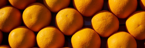 TheFSMeu Profile Banner